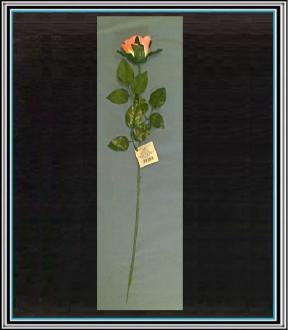 Umelá ruža HF10C71- 60 cm
 č.71 - žlto ružová