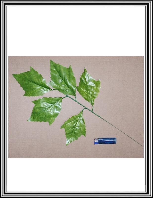 List zelený č. 24 ,   55 cm balené po 12 kusov