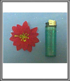 Vianočný kvet stredný -červený 6,5 cm
