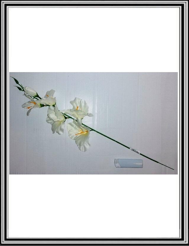 Gladiola  45 cm  biela