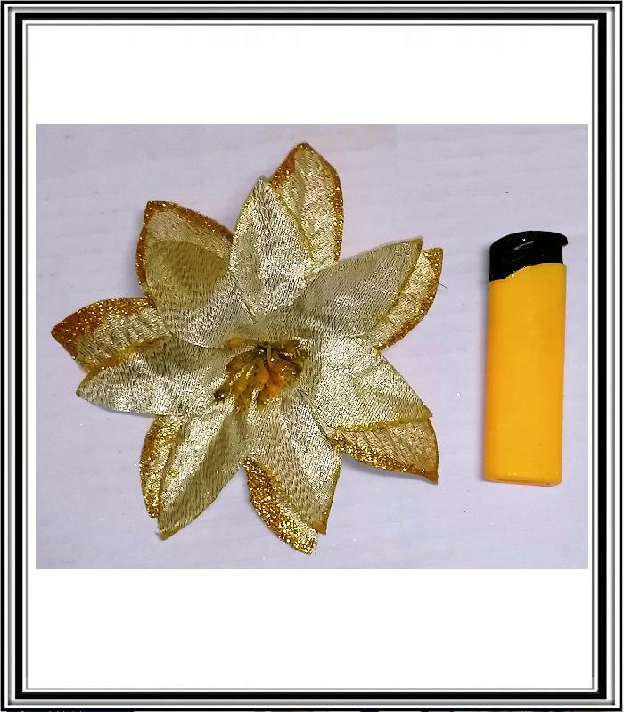 Zlatý kvet so zlatým okrajom  CV02724,