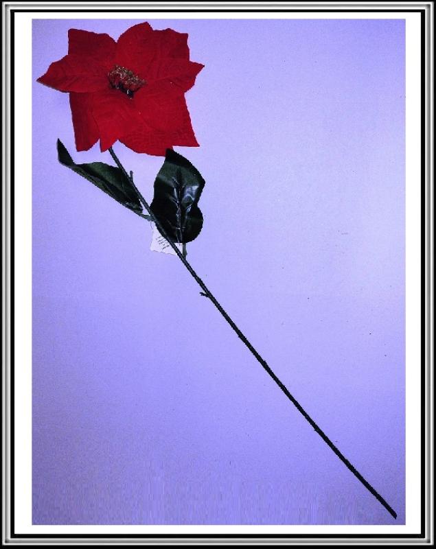 Betlehemský kvet červený 75 cm CV15900,