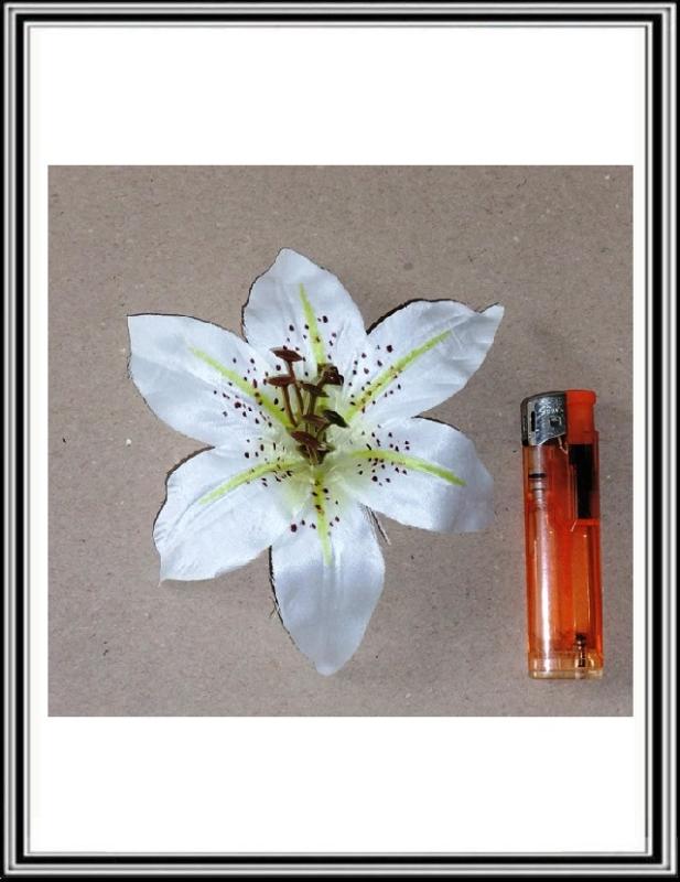 Hlavička kvetu 13 cm