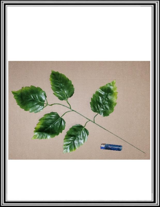 List zelený č. 25 cm,   59 cm  balené po 12 kusov