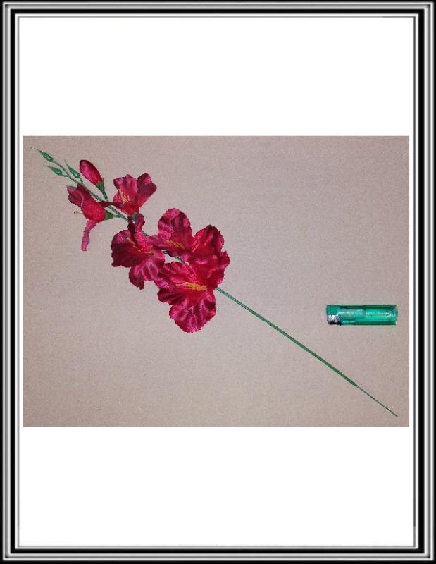 Gladiola 54 cm červená