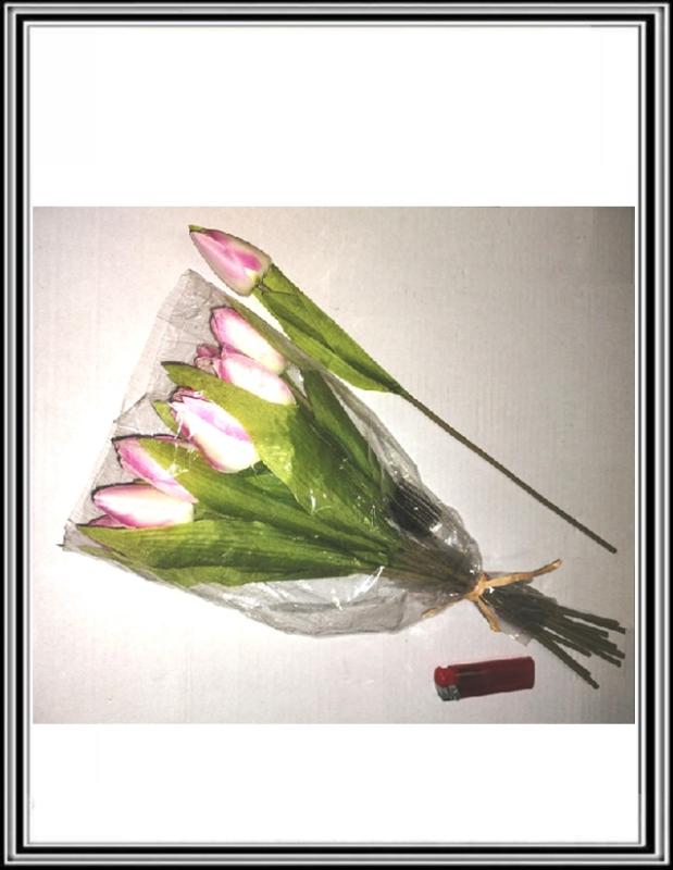 Stopka tulipán 54 cm  bielo ružový
