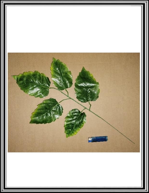 List zelený č. 21, 57 cm balené po 12 kusov