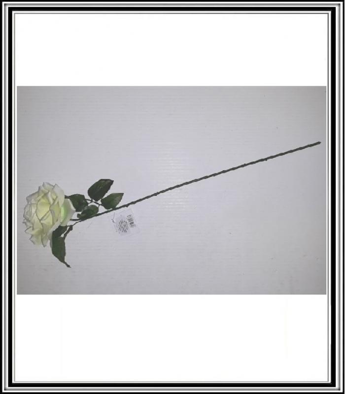 Ruža 60 cm MMA 279 bielomaslová