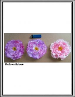 Pivonia Ružovo fialová 15 cm č.866017
